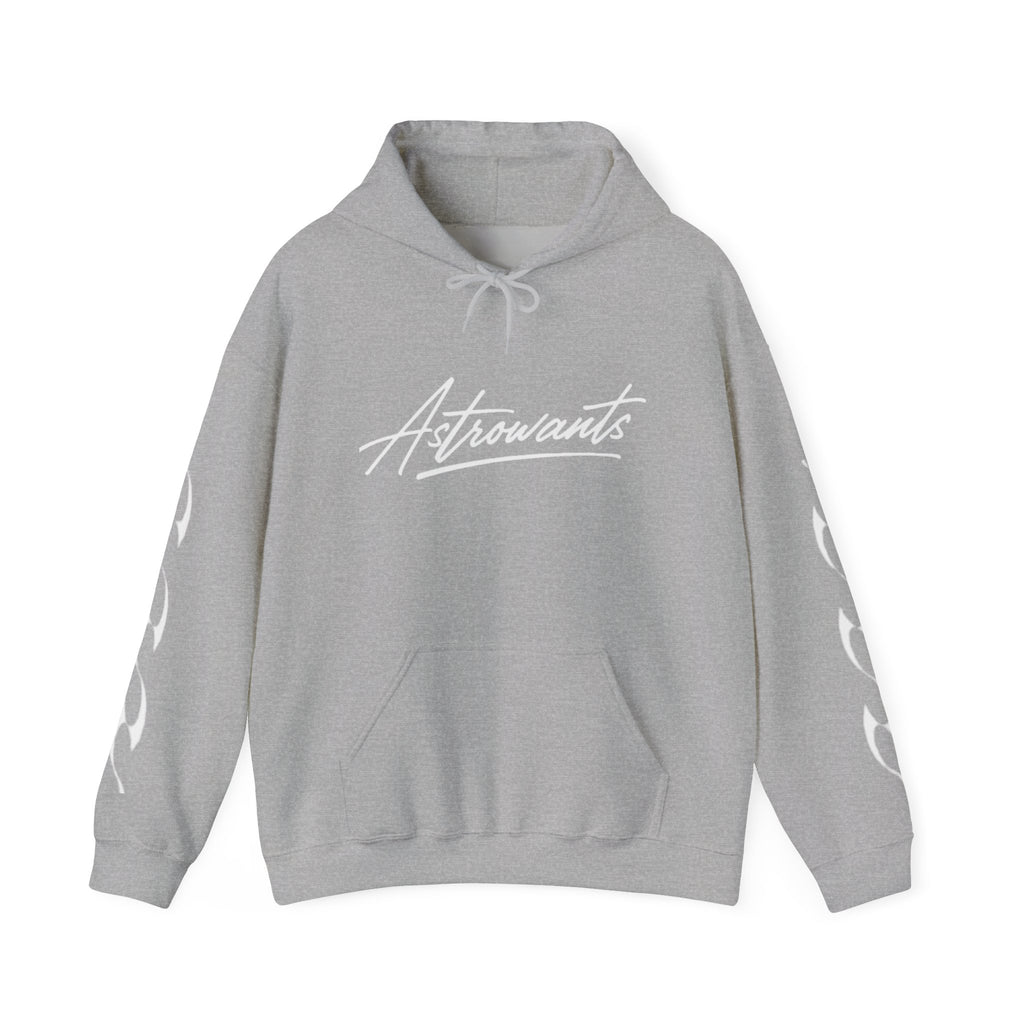 AstroWants Hoodie (Gray)