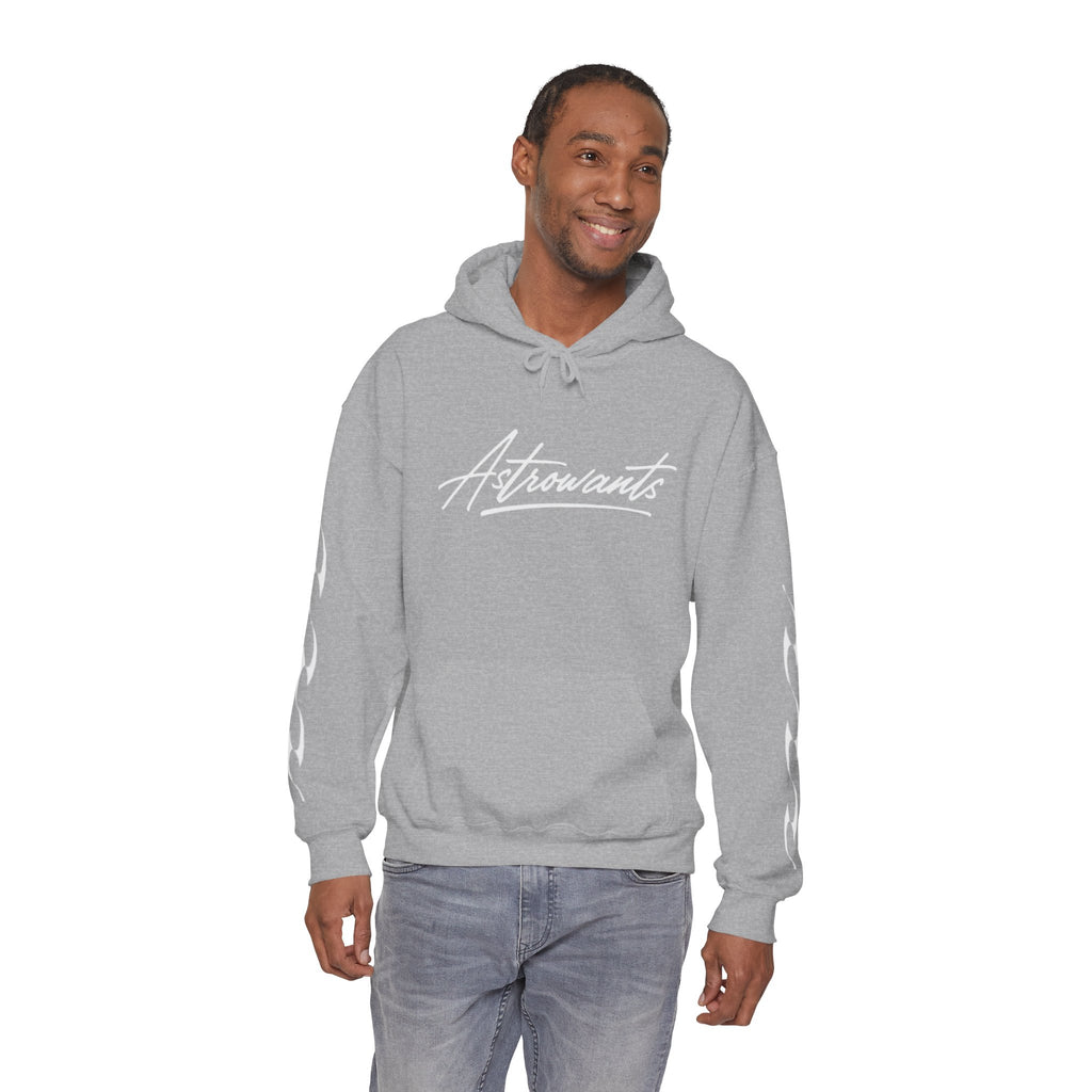 AstroWants Hoodie (Gray)