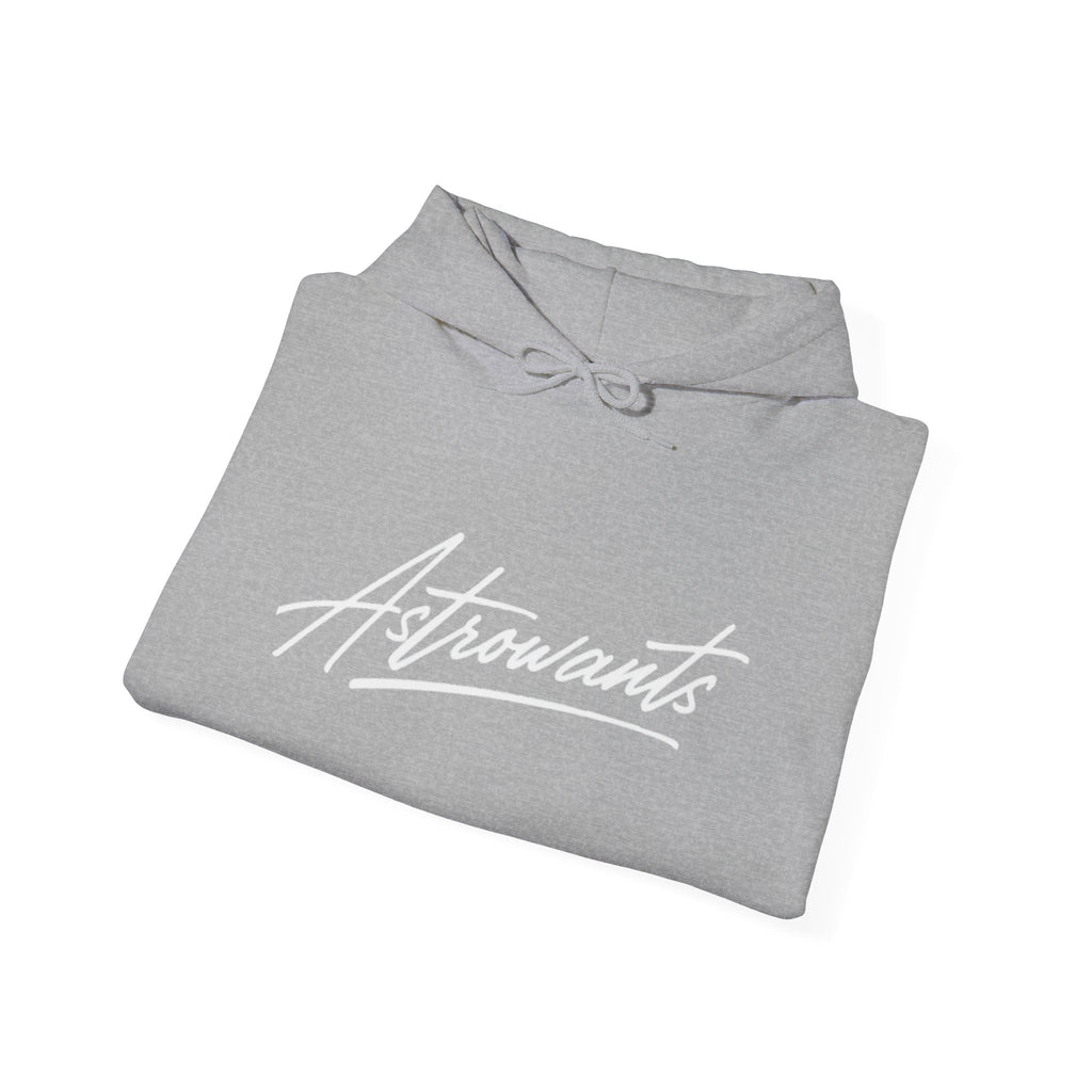 AstroWants Hoodie (Gray)