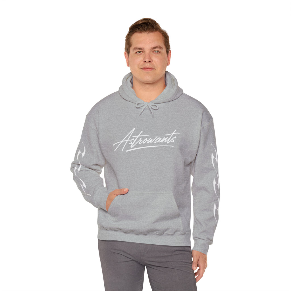 AstroWants Hoodie (Gray)