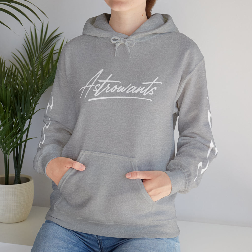 AstroWants Hoodie (Gray)